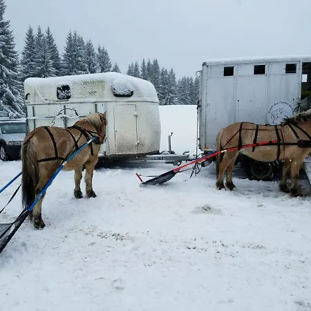 Praz-du-soleil F3 Apartman Les Gets
